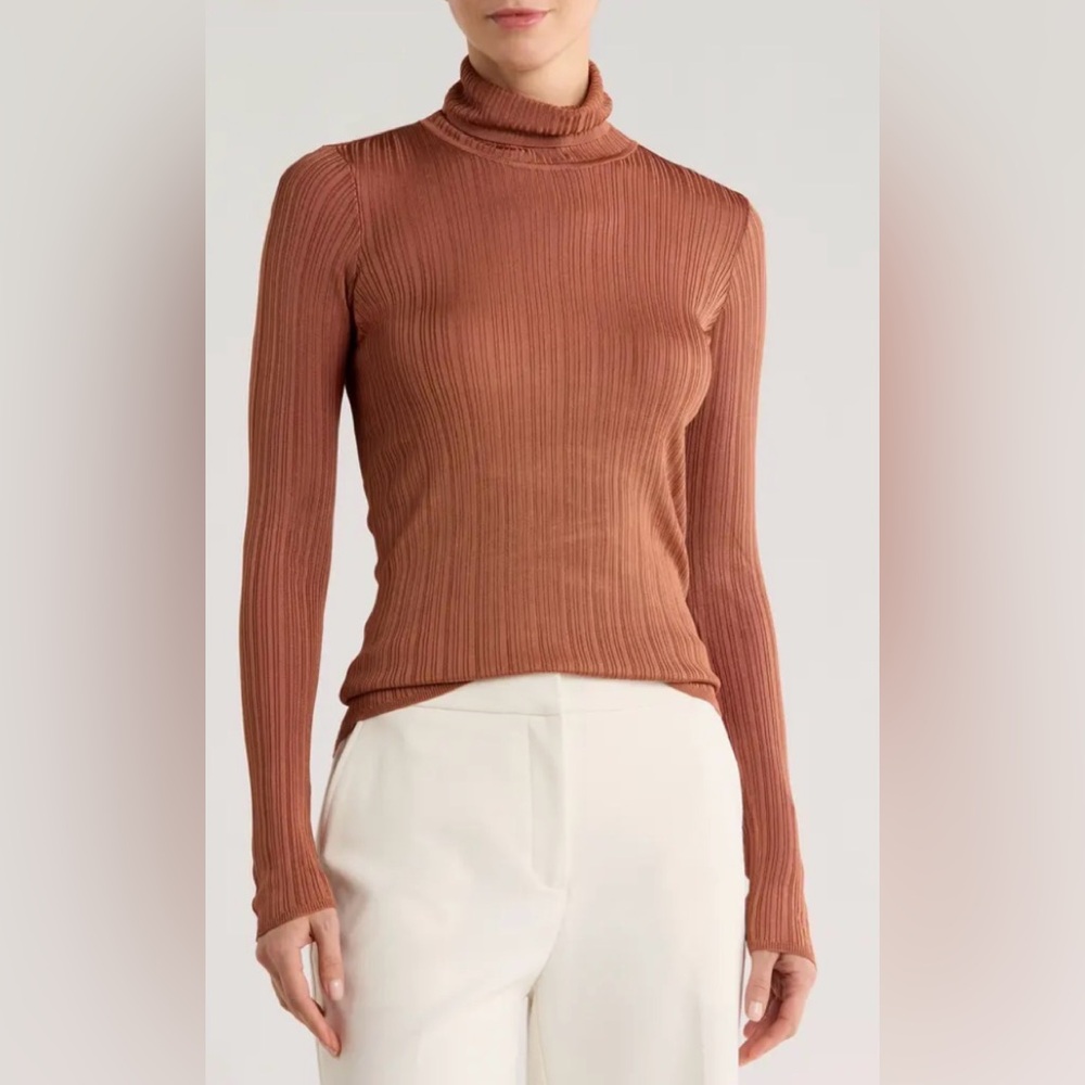 Chic Rust Turtleneck Sweater